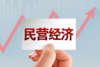 《中共中央、國務院關于促進民營經濟發(fā)展壯大的意見》