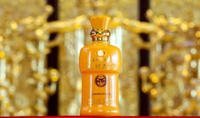 興唐之治
